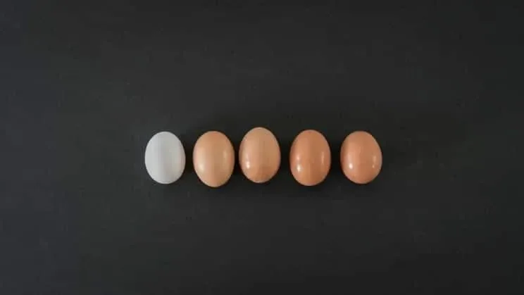 Jajka – białe czy brązowe? Może jednak różowe?