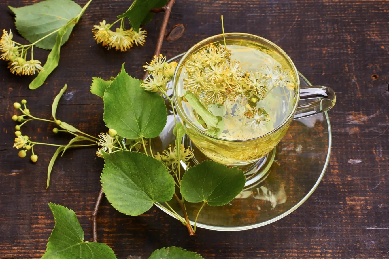 Herbata z kwiatów lipy w szklanej filiżance na drewnianym tle, otoczona świeżymi zielonymi liśćmi i kwiatami.