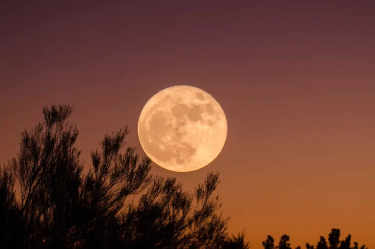 Pełnia księżyca zawieszona na zachmurzonym, pomarańczowym niebie nad sylwetkami drzew.