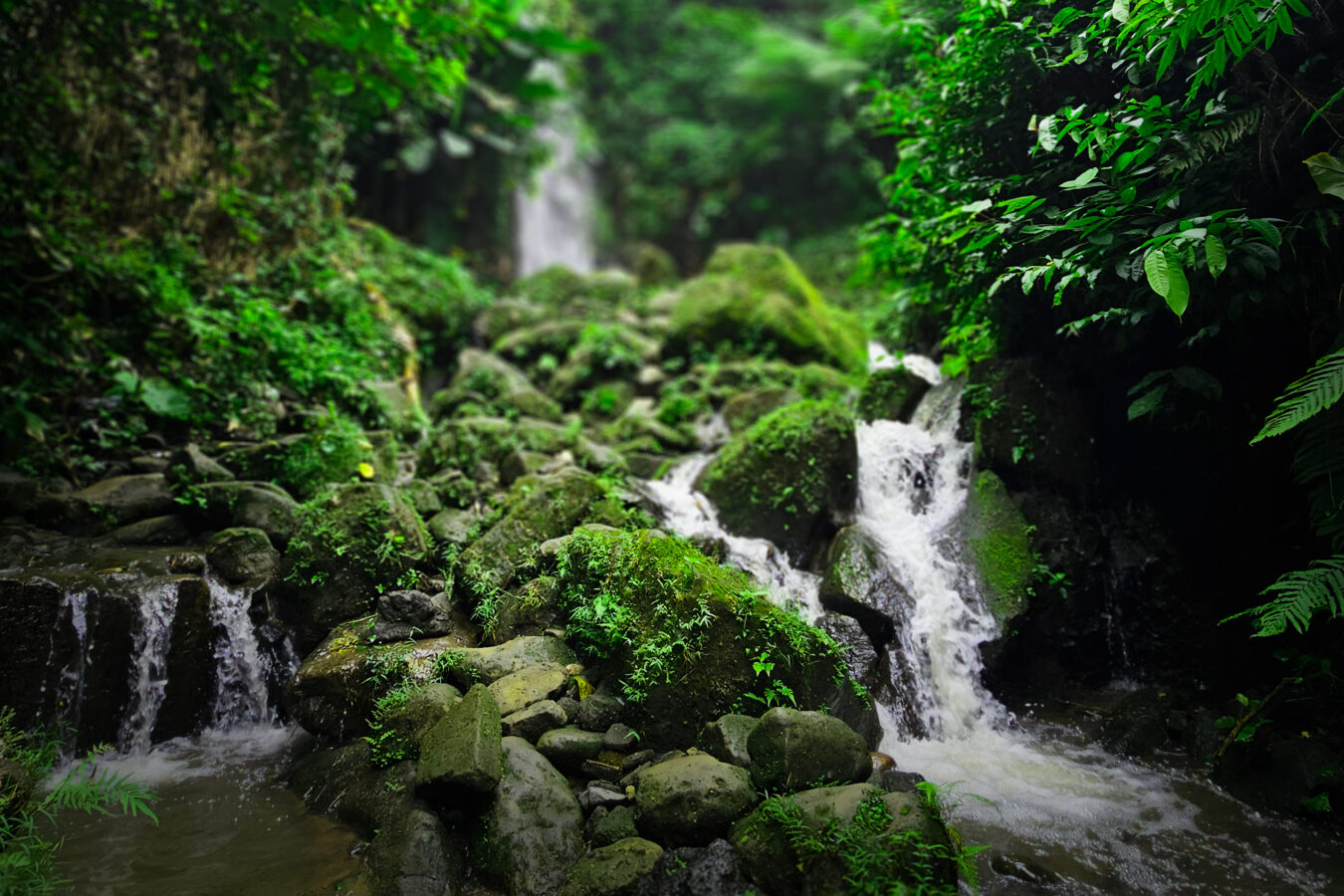 Bali - Poradnik podróży